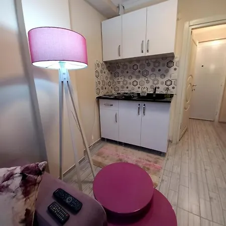 Apartment Studio Meuble *